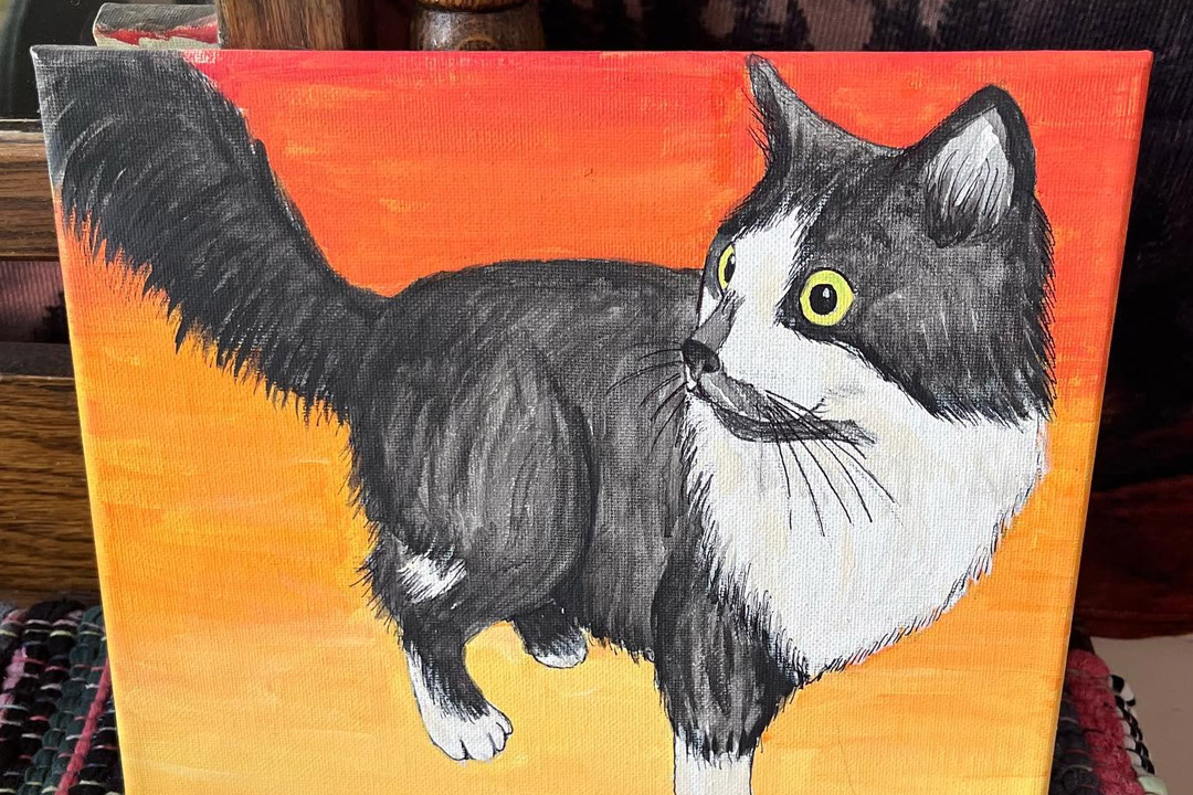 paint your pet