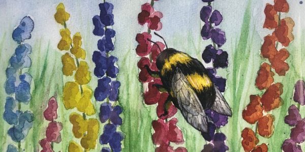 bee